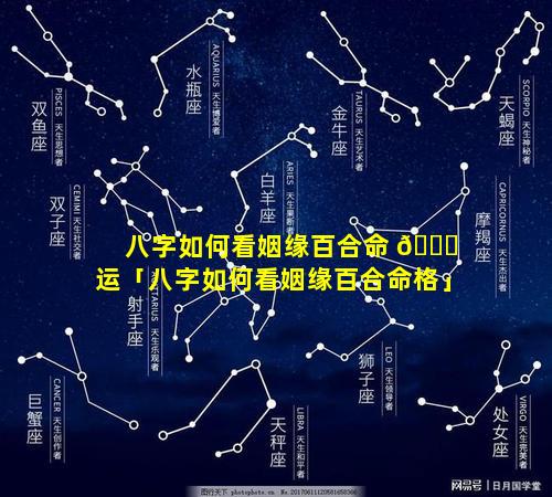 八字如何看姻缘百合命 🐈 运「八字如何看姻缘百合命格」